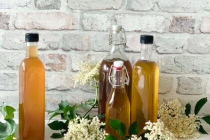 Sirop de fleurs de sureau