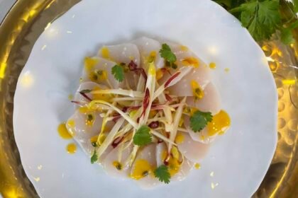 Carpaccio de St Jacques - salade de chicons et agrumes
