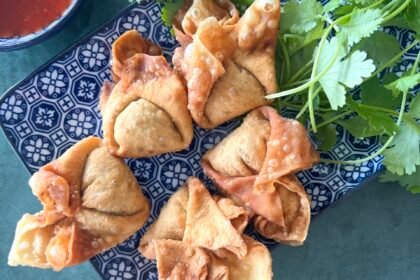 Raviolis frits • Leslie en Cuisine