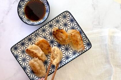 Gyoza au poulet • Leslie en Cuisine
